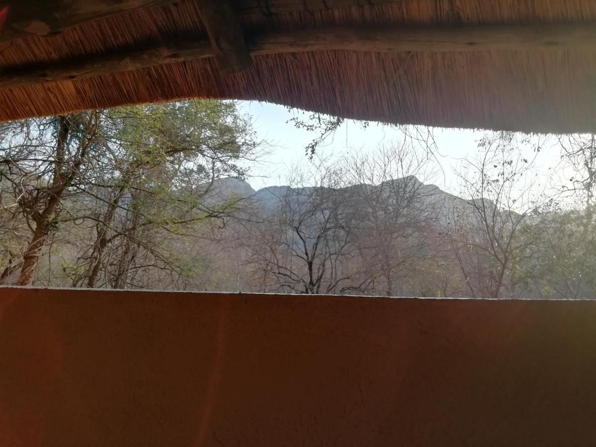 Willa Shumba Safari Bush Camp Hoedspruit Zewnętrze zdjęcie