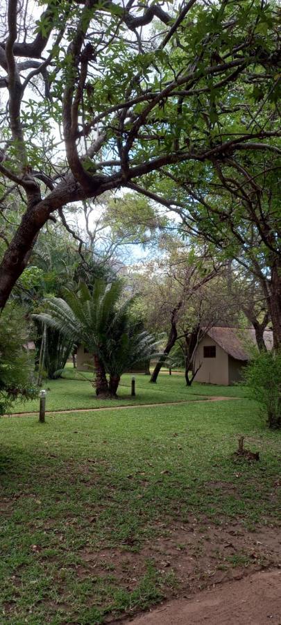 Willa Shumba Safaris Bush Camp Hoedspruit Zewnętrze zdjęcie