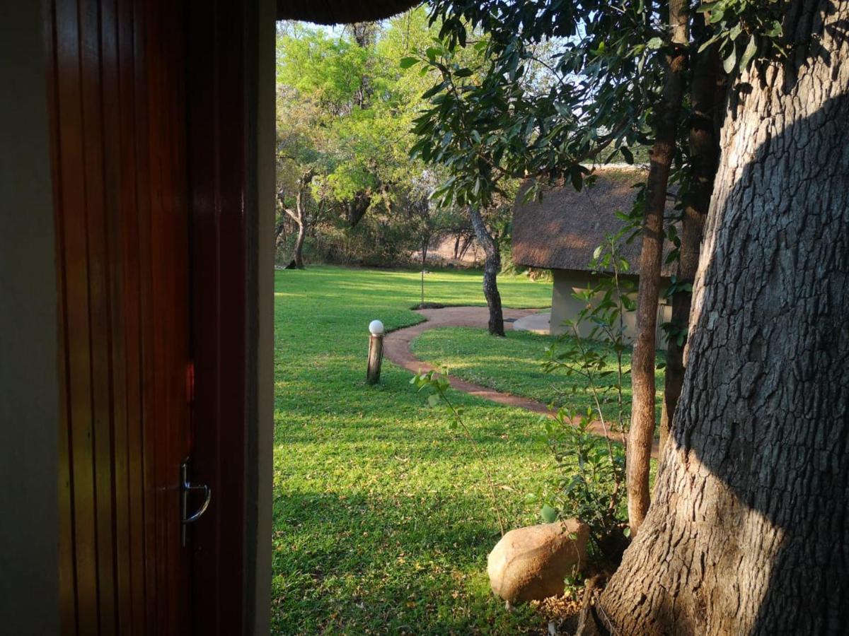 Willa Shumba Safari Bush Camp Hoedspruit Zewnętrze zdjęcie